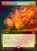 [FOIL] 未知なるものの魅惑/Allure of the Unknown (拡張アート版) 【日本語版】 [THB-金R]