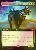 [FOIL] エイスリオスの番犬、クノロス/Kunoros, Hound of Athreos (拡張アート版) 【日本語版】 [THB-金R]