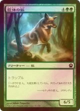 [FOIL] 巨体の狐/Vulpine Goliath 【日本語版】 [THS-緑C]