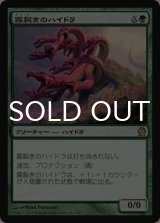 霧裂きのハイドラ/Mistcutter Hydra 【日本語版】 [THS-緑R]