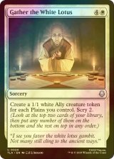 [FOIL] 白蓮を集めよ/Gather the White Lotus 【英語版】 [TLA-白U]