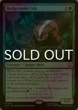 [FOIL] アナグマモグラの仔/Badgermole Cub 【英語版】 [TLA-緑MR]