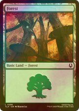 [FOIL] 森/Forest 【英語版】 [TLA-土地C]