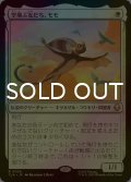 [FOIL] 空飛ぶ友だち、モモ/Momo, Friendly Flier 【日本語版】 [TLA-白R]