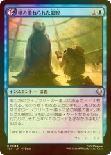 [FOIL] 積み重ねられた叡智/Accumulate Wisdom 【日本語版】 [TLA-青U]