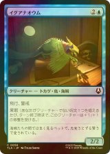 [FOIL] イグアナオウム/Iguana Parrot 【日本語版】 [TLA-青C]