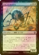 [FOIL] ケイコクオオグモ/Canyon Crawler 【日本語版】 [TLA-黒C]