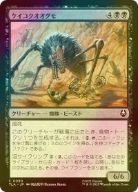 [FOIL] ケイコクオオグモ/Canyon Crawler 【日本語版】 [TLA-黒C]