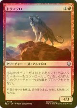 [FOIL] トラマジロ/Tiger-Dillo 【日本語版】 [TLA-赤U]