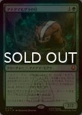 [FOIL] アナグマモグラの仔/Badgermole Cub 【日本語版】 [TLA-緑MR]