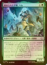 [FOIL] 秘められた才能、ハル/Haru, Hidden Talent 【日本語版】 [TLA-緑U]
