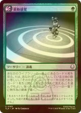 [FOIL] 震動感覚/Seismic Sense 【日本語版】 [TLA-緑U]