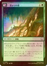[FOIL] 一繋がりの根/Shared Roots 【日本語版】 [TLA-緑U]