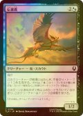 [FOIL] 伝書鷹/Messenger Hawk 【日本語版】 [TLA-金C]