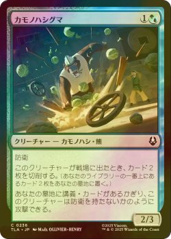 画像1: [FOIL] カモノハシグマ/Platypus-Bear 【日本語版】 [TLA-金C]