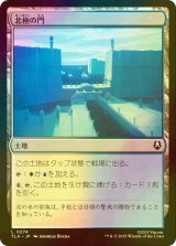 [FOIL] 北極の門/North Pole Gates 【日本語版】 [TLA-土地C]