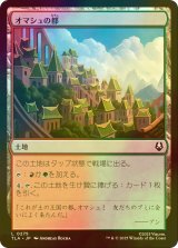 [FOIL] オマシュの都/Omashu City 【日本語版】 [TLA-土地C]