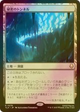 [FOIL] 秘密のトンネル/Secret Tunnel 【日本語版】 [TLA-土地R]