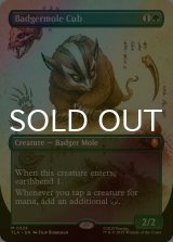 [FOIL] アナグマモグラの仔/Badgermole Cub (全面アート版) 【英語版】 [TLA-緑MR]