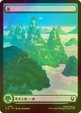 [FOIL] 森/Forest No.291 (全面アート版) 【日本語版】 [TLA-土地C]