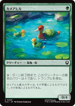 画像1: カメアヒル/Turtle-Duck 【日本語版】 [TLA-緑C]