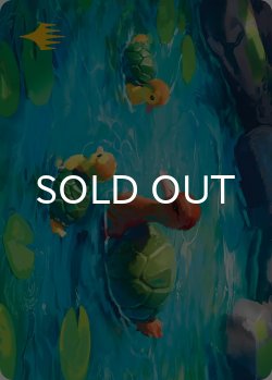 画像1: カメアヒル/Turtle-Duck No.018 (箔押し版) 【英語版】 [TLA-アート]