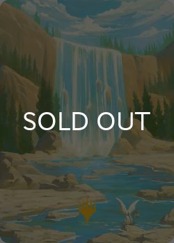 画像1: 島/Island No.051 (箔押し版) 【英語版】 [TLA-アート]