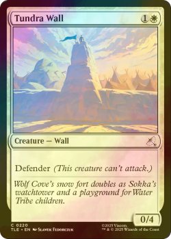 画像1: [FOIL] ツンドラの壁/Tundra Wall 【英語版】 [TLE-白C]