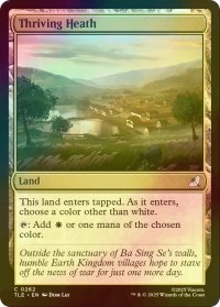 [FOIL] 興隆する荒野/Thriving Heath 【英語版】 [TLE-土地C]