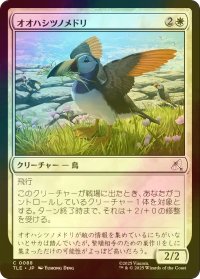 [FOIL] オオハシツノメドリ/Toucan-Puffin 【日本語版】 [TLE-白C]
