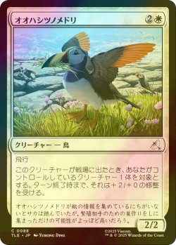 画像1: [FOIL] オオハシツノメドリ/Toucan-Puffin 【日本語版】 [TLE-白C]