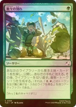 画像1: [FOIL] 数々の別れ/Many Partings 【日本語版】 [TLE-緑C]