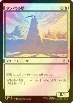 画像1: [FOIL] ツンドラの壁/Tundra Wall 【日本語版】 [TLE-白C]