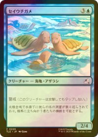 [FOIL] セイウチガメ/Turtle-Seals 【日本語版】 [TLE-青C]