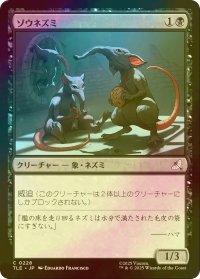 [FOIL] ゾウネズミ/Elephant-Rat 【日本語版】 [TLE-黒C]