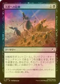 [FOIL] 大群への給餌/Feed the Swarm 【日本語版】 [TLE-黒C]