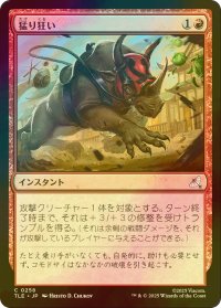 [FOIL] 猛り狂い/Run Amok 【日本語版】 [TLE-赤C]