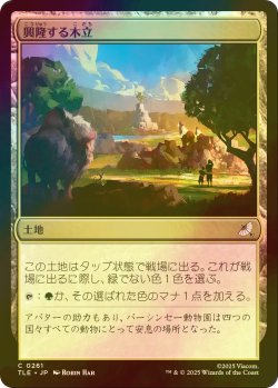 画像1: [FOIL] 興隆する木立/Thriving Grove 【日本語版】 [TLE-土地C]