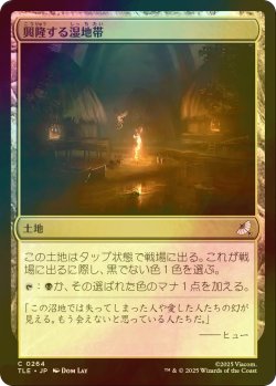 画像1: [FOIL] 興隆する湿地帯/Thriving Moor 【日本語版】 [TLE-土地C]