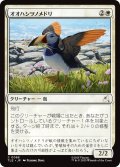 オオハシツノメドリ/Toucan-Puffin 【日本語版】 [TLE-白C]