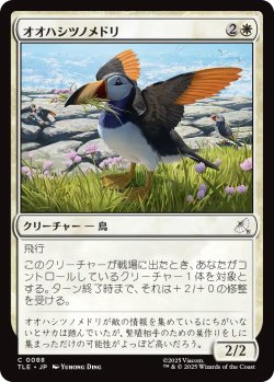画像1: オオハシツノメドリ/Toucan-Puffin 【日本語版】 [TLE-白C]