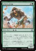 ゾウマンドリル/Elephant-Mandrill 【日本語版】 [TLE-緑U]