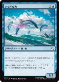 トビイルカ/Flying Dolphin-Fish 【日本語版】 [TLE-青C]
