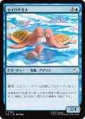 セイウチガメ/Turtle-Seals 【日本語版】 [TLE-青C]
