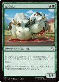 カバウシ/Hippo-Cows 【日本語版】 [TLE-緑C]