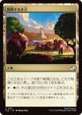 興隆する木立/Thriving Grove 【日本語版】 [TLE-土地C]