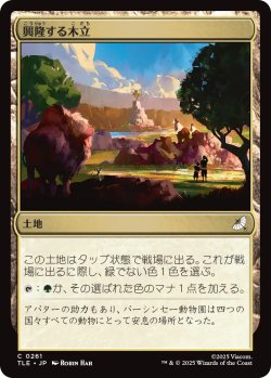 画像1: 興隆する木立/Thriving Grove 【日本語版】 [TLE-土地C]