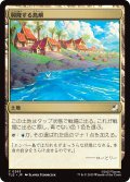 興隆する島嶼/Thriving Isle 【日本語版】 [TLE-土地C]