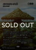 バンヤングローブの木/The Banyan Tree (全面アート版) 【日本語版】 [TLE-緑MR]