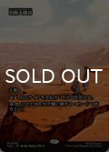 灼陽大峡谷/Sunbaked Canyon (全面アート版) 【日本語版】 [TLE-土地MR]
